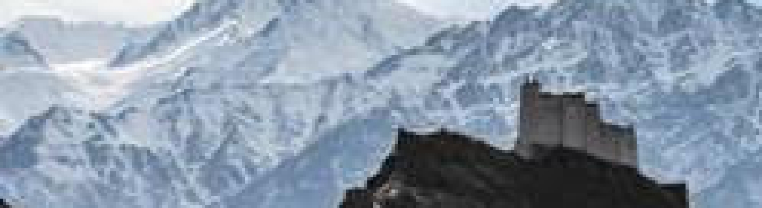 “Buddhist Path, Buddhist Teachings: Studies in Memory of L.S. Cousins” (edited by Naomi Appleton and Peter Harvey) – New publication and discount code from Equinox