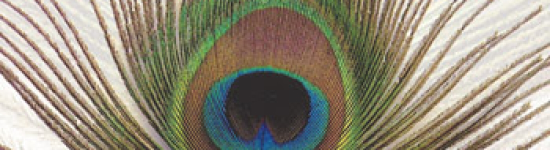 Table of Contents — Religions of South Asia Issue 9.3 (2015)
