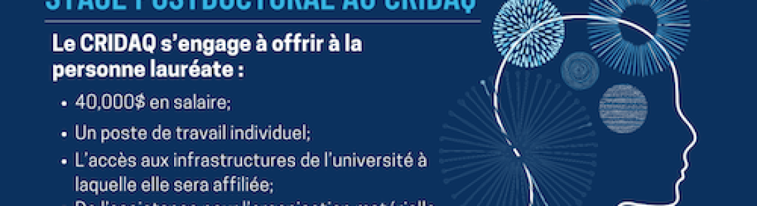Postdoctoral Fellowship at CRIDAQ in 2023-2024