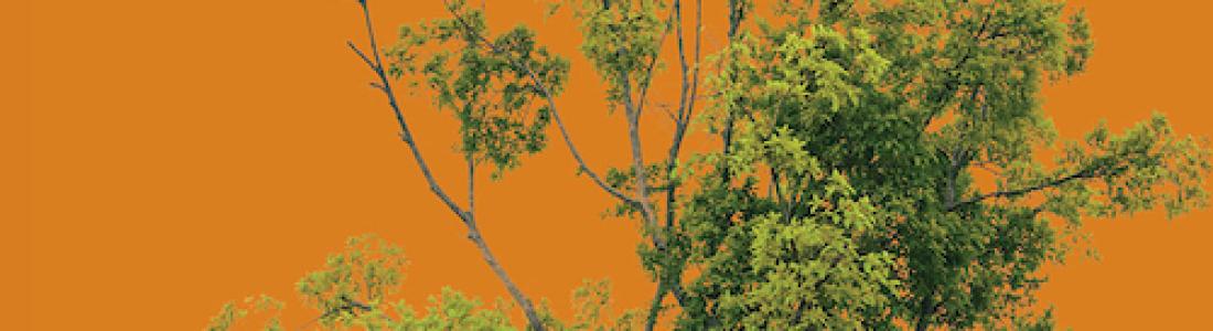 Exploring Hindu Philosophy by Ankur Barua – a new publication and discount code from Equinox Publishers