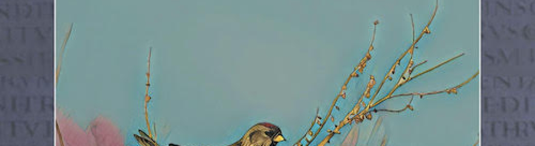 “Worth More than Many Sparrows: Essays in Honour of Willi Braun”, edited by Sarah E. Rollens and Patrick Hart — New publication and discount code from Equinox Publishers